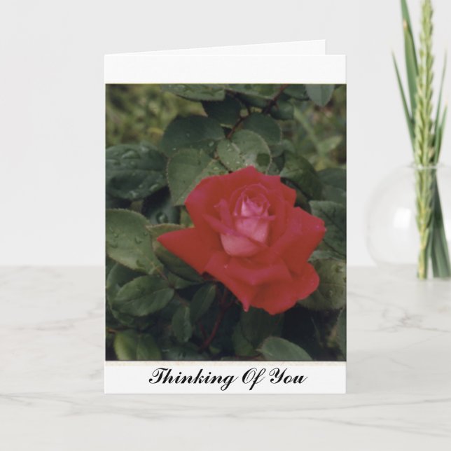 Thinking Of You - Customised Card (Front)