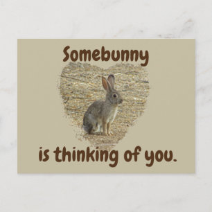 Thinking of You Cute Bunny Miss You Friendship Postcard