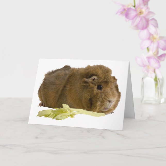 Thinking Of You Cute Guinea Pig Photo Template (Orchid)