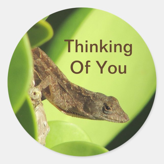 Thinking Of You Cute Reptile Gecko Friendship Classic Round Sticker (Front)