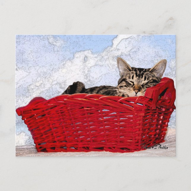 Thinking of You Cute Sleeping Kitten Red Basket  Postcard (Front)