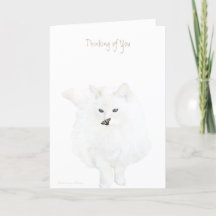 Thinking of you: cute white cat