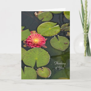 Thinking of You dahlia in lily pads Card