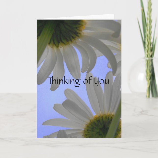 Thinking of You Daisy Day Greeting Card (Front)