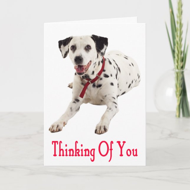 Thinking of You Dalmatian Puppy Dog Greeting Card (Front)