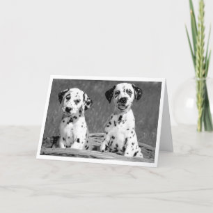 Thinking of You Dalmatian Puppy Dog Hello Card