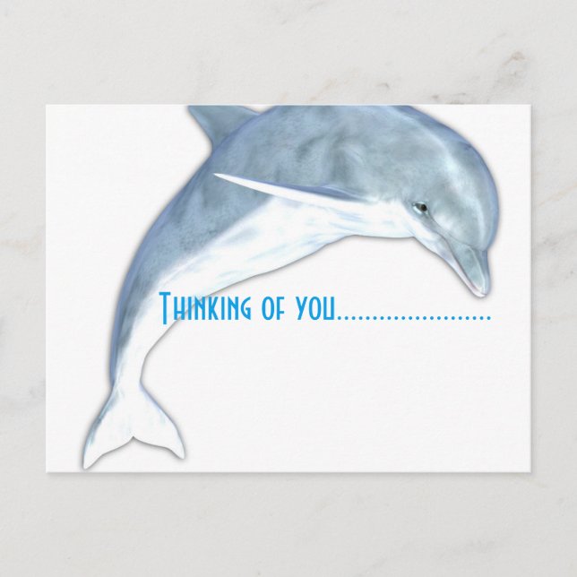 Thinking Of You Dolphin Fashion Postcard (Front)