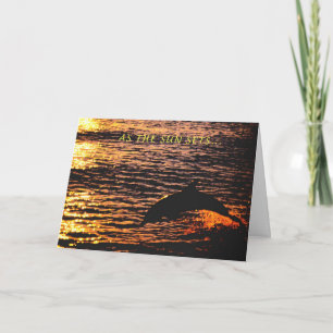 thinking of you ...dolphin sunset jump holiday card