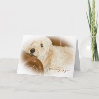 Thinking of You - Dreamy Dog Resting Card