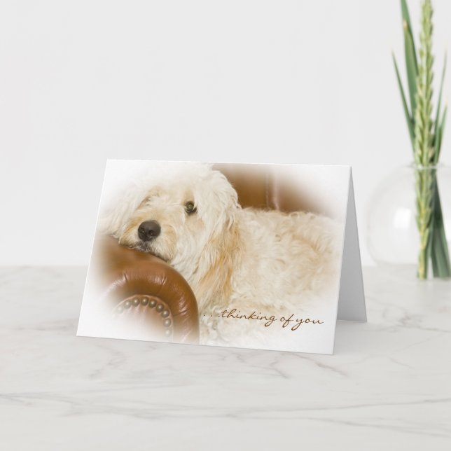 Thinking of You - Dreamy Dog Resting Card (Front)