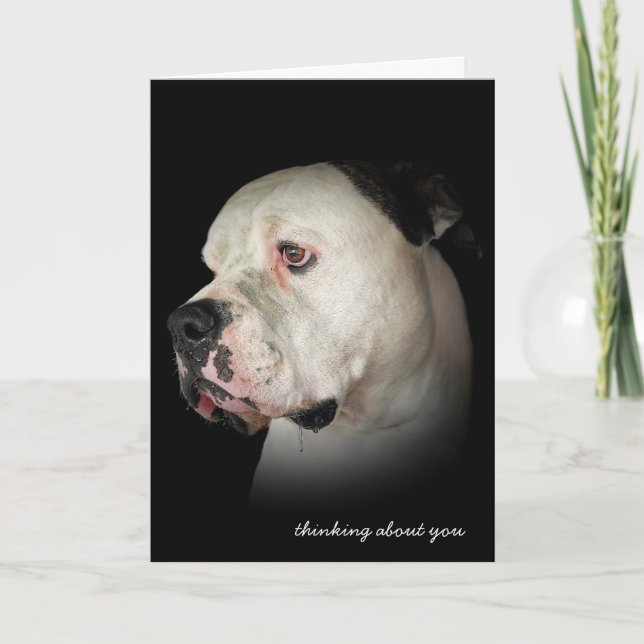 thinking of you-drooling Bulldog Card (Front)