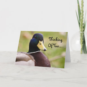 Thinking Of You Duck Card