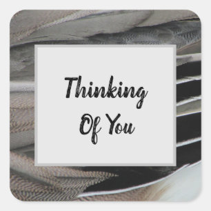 Thinking of You Duck Feather Photo Modern Square Sticker