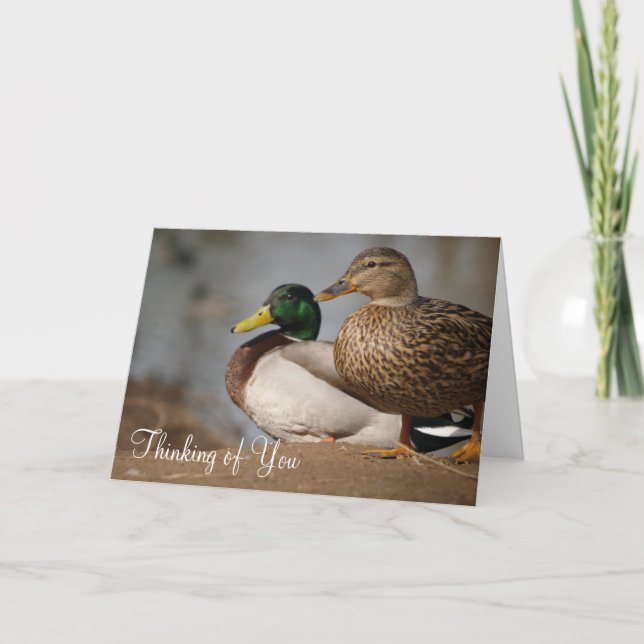 "Thinking of You" Ducks Card (Front)