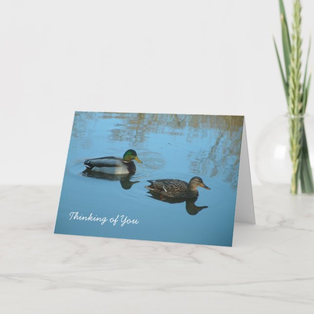 Thinking of You | Ducks Card (Front)