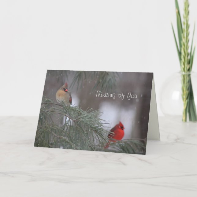 Thinking of You - Encouragement, Sympathy, Prayers Holiday Card (Front)