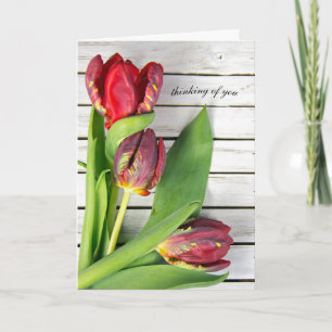 thinking of you-fancy red tulips on wood card