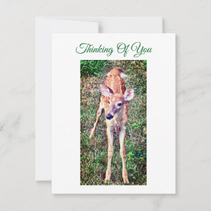 Thinking Of You Flat Note Card With Fawn