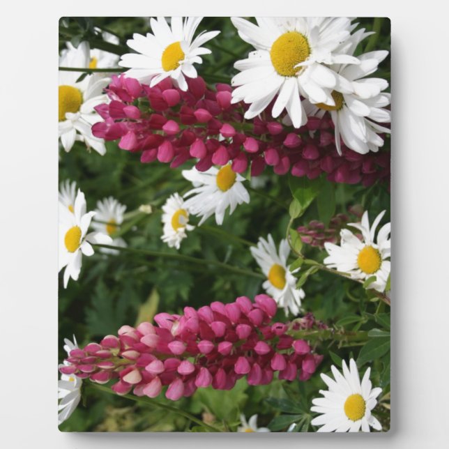 Thinking Of You Floral Blossoms Plaque (Front)