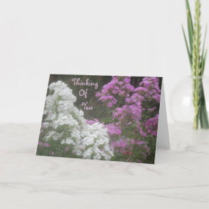 Thinking Of You Floral Card