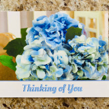 Thinking of You Floral Hydrangea Postcard
