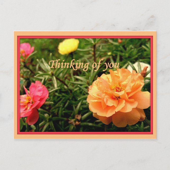 Thinking of You Flower Postcards 8 pack (Front)