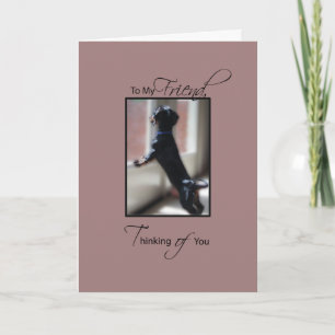 Thinking of You for Friend with Little Dog, Get We Card