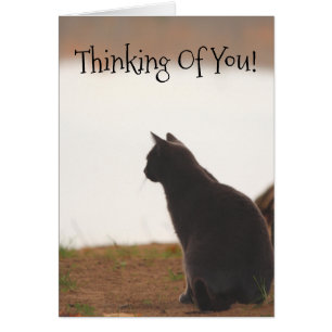Thinking Of You Friend
