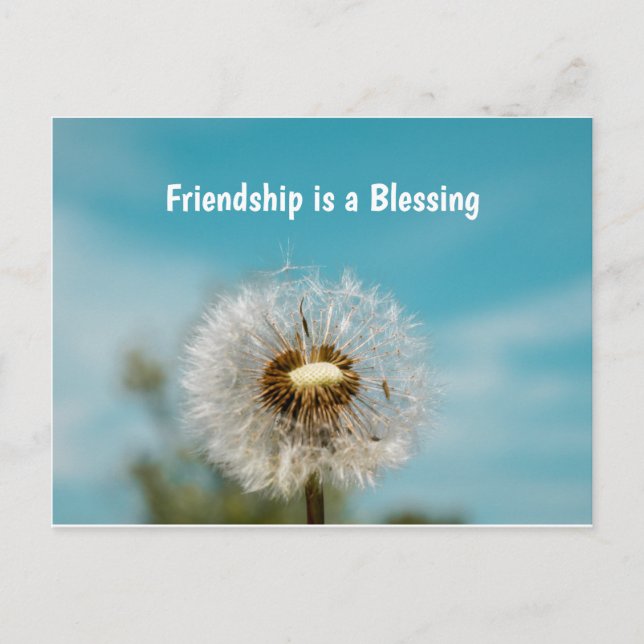 Thinking of you Friend Postcard (Front)