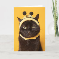Thinking of You Funny Cat in Bumblebee Hat Humour