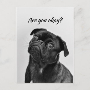 Thinking of You Funny Dog  Let Me know You're okay Postcard