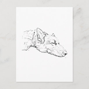 Thinking of you, German Shepherd  Postcard