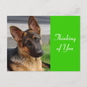 Thinking of You German Shepherd Puppy Dog Postcard