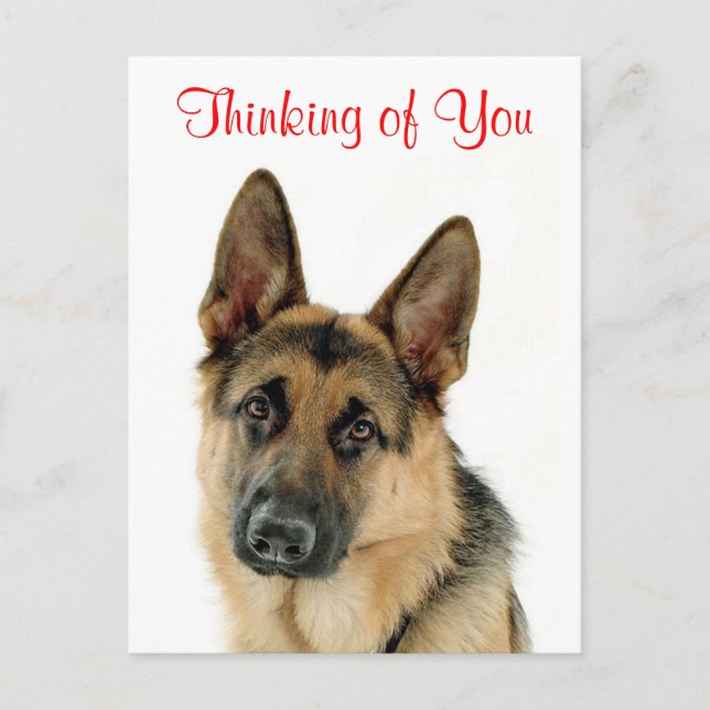 Thinking of You German Shepherd Puppy Dog Postcard (Front)