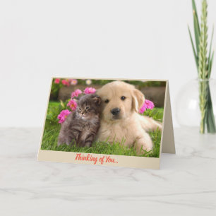 Thinking of You Get Well Card