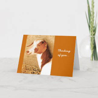 Thinking of You Goat Card
