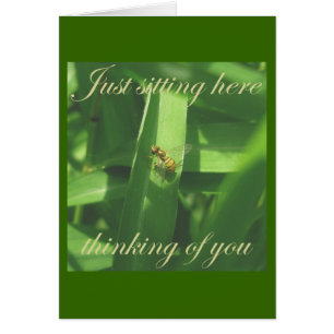 Thinking of you Golden Bee Fly Card