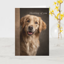 Thinking of You Golden Retriever
