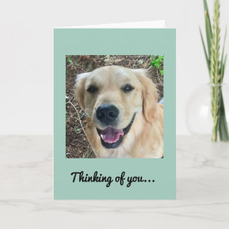 Thinking of you - Golden Retriever Card