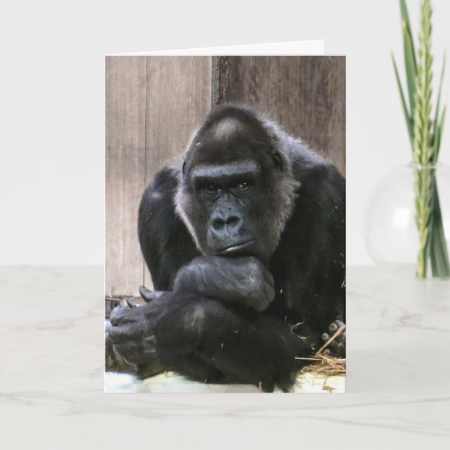 THINKING OF YOU GORILLA GREETING CARDS (Front)