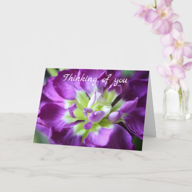 Thinking of You Greeting Card (Orchid)
