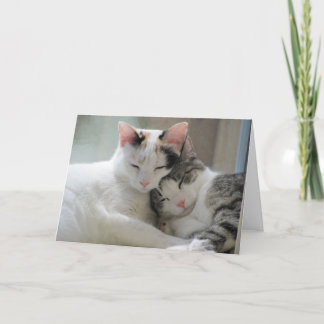 Thinking of you greeting card