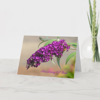 Thinking of You Greeting Card