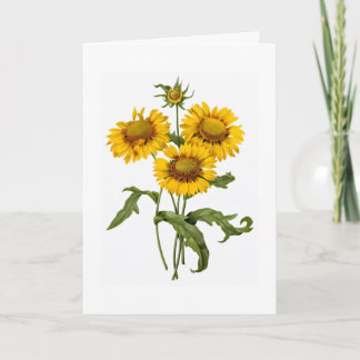 Thinking of You Greeting Card