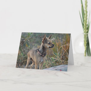 Thinking of You Greeting Card