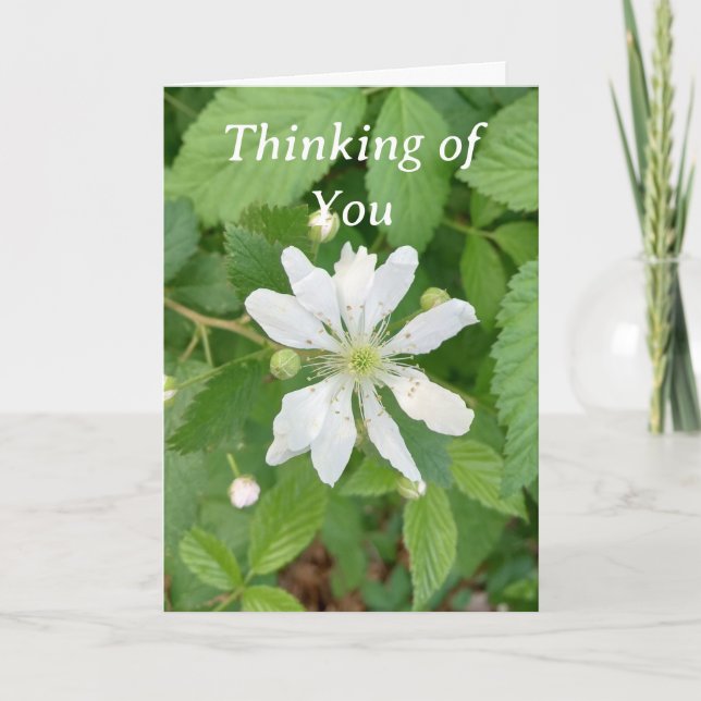 Thinking of You greeting card (Front)