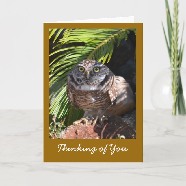 Thinking of You Greeting Card with Owl (Front)