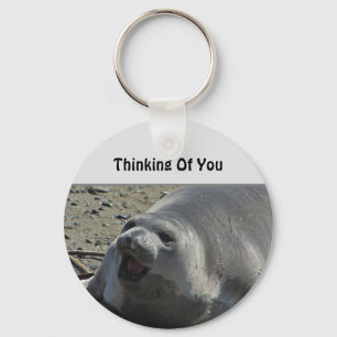 Thinking Of You Grey Elephant Seal Ocean Animal Key Ring