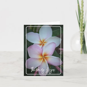 Thinking of you Halo Plumeria Folded Greeting Card