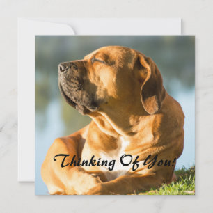 Thinking of You Holiday Card